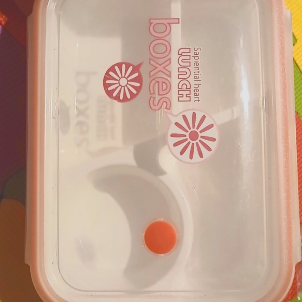 Pink and White Bento Box